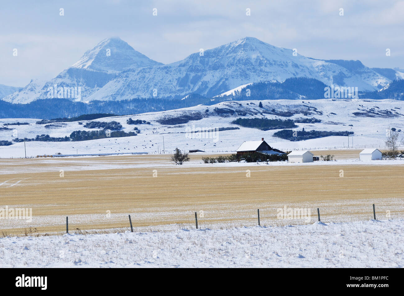 Prairie and Rocky Mountains, near Pincher Creek, Alberta, Canada, North America Stock Photo