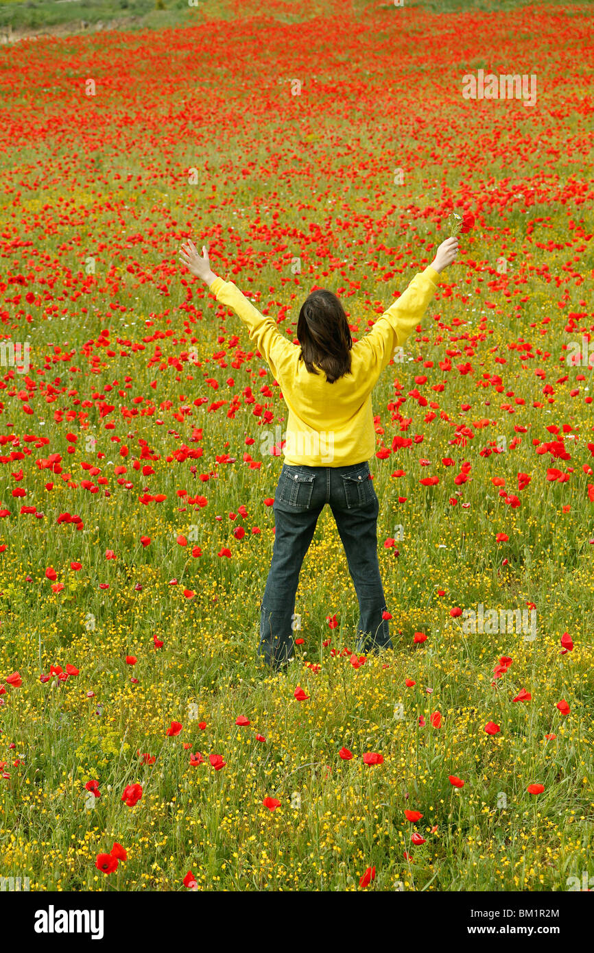 White poppies for peace hi-res stock photography and images - Alamy