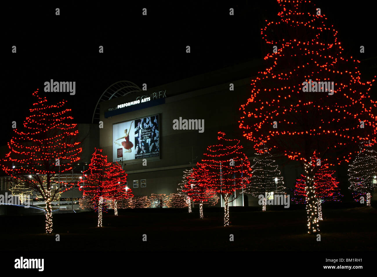 Trees decorated with Christmas lights in front of a building, Denver