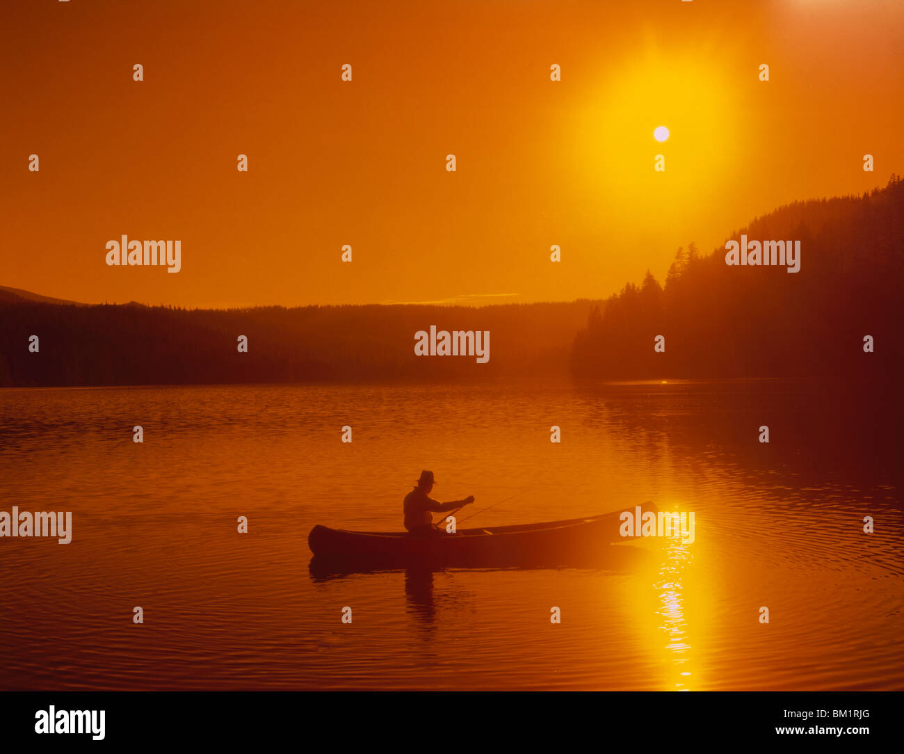 Person canoeing in a lake, Suttle Lake, Oregon, USA Stock Photo