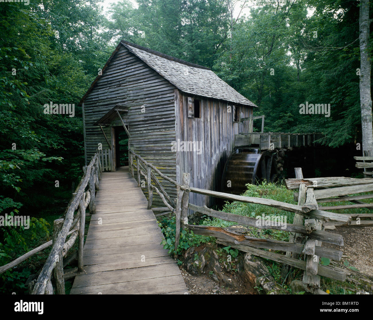 Watermill in a forest, John P. Cable Grist Mill, Cades Cove, Great Smoky Mountains National Park, Tennessee, USA Stock Photo