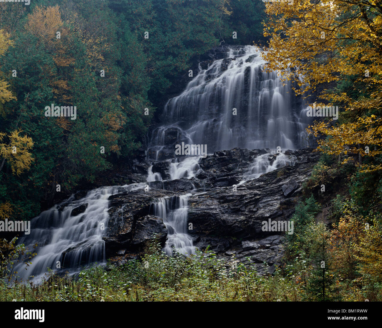 Waterfall in a forest, Beaver Brook Falls, Colebrook, New Hampshire
