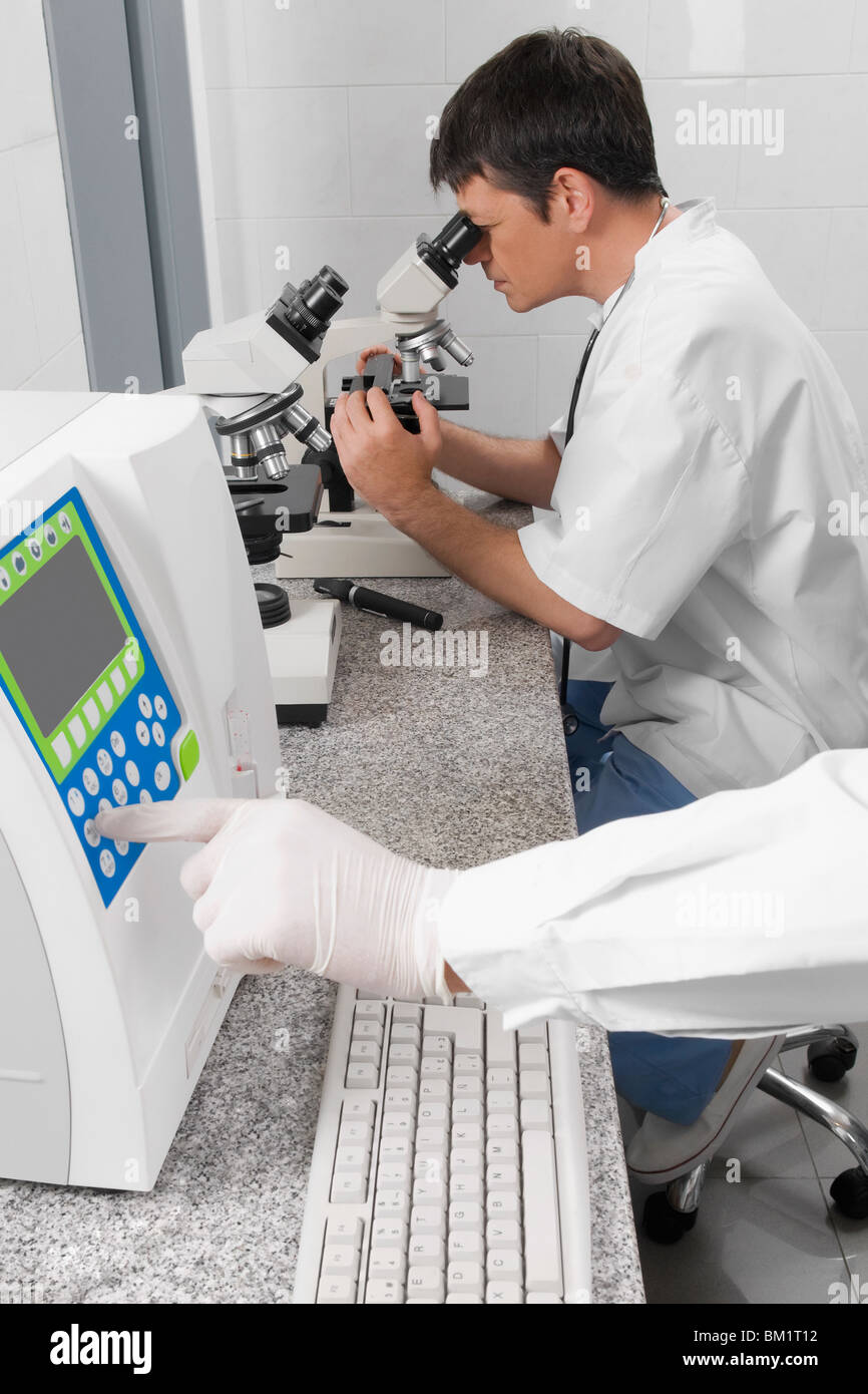 Vet looking into a microscope Stock Photo Alamy