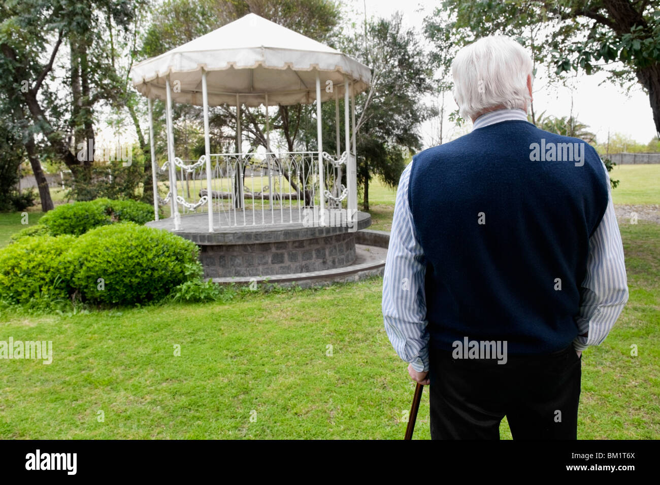 Rear view of a man standing with a cane in a garden Stock Photo - Alamy