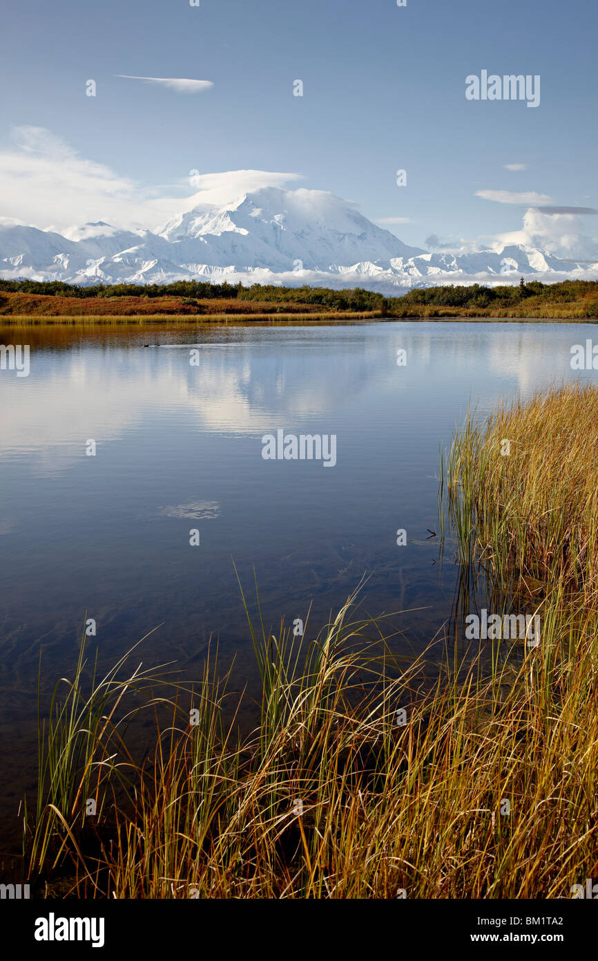 Mount McKinley (Mount Denali), Denali National Park and Preserve, Alaska, United States of America Stock Photo