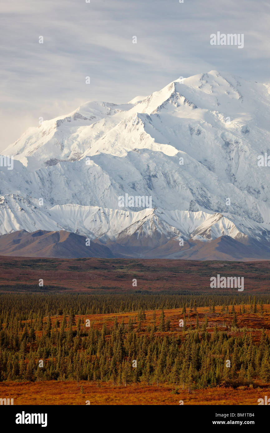 Mount McKinley (Mount Denali), Denali National Park and Preserve, Alaska, United States of America Stock Photo
