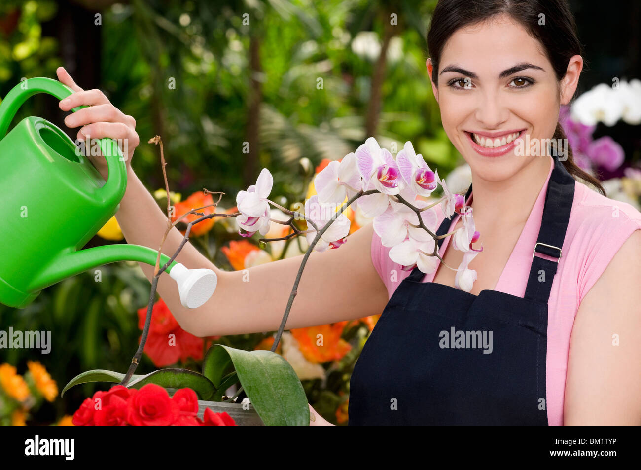 Woman watering plants in a greenhouse Stock Photo