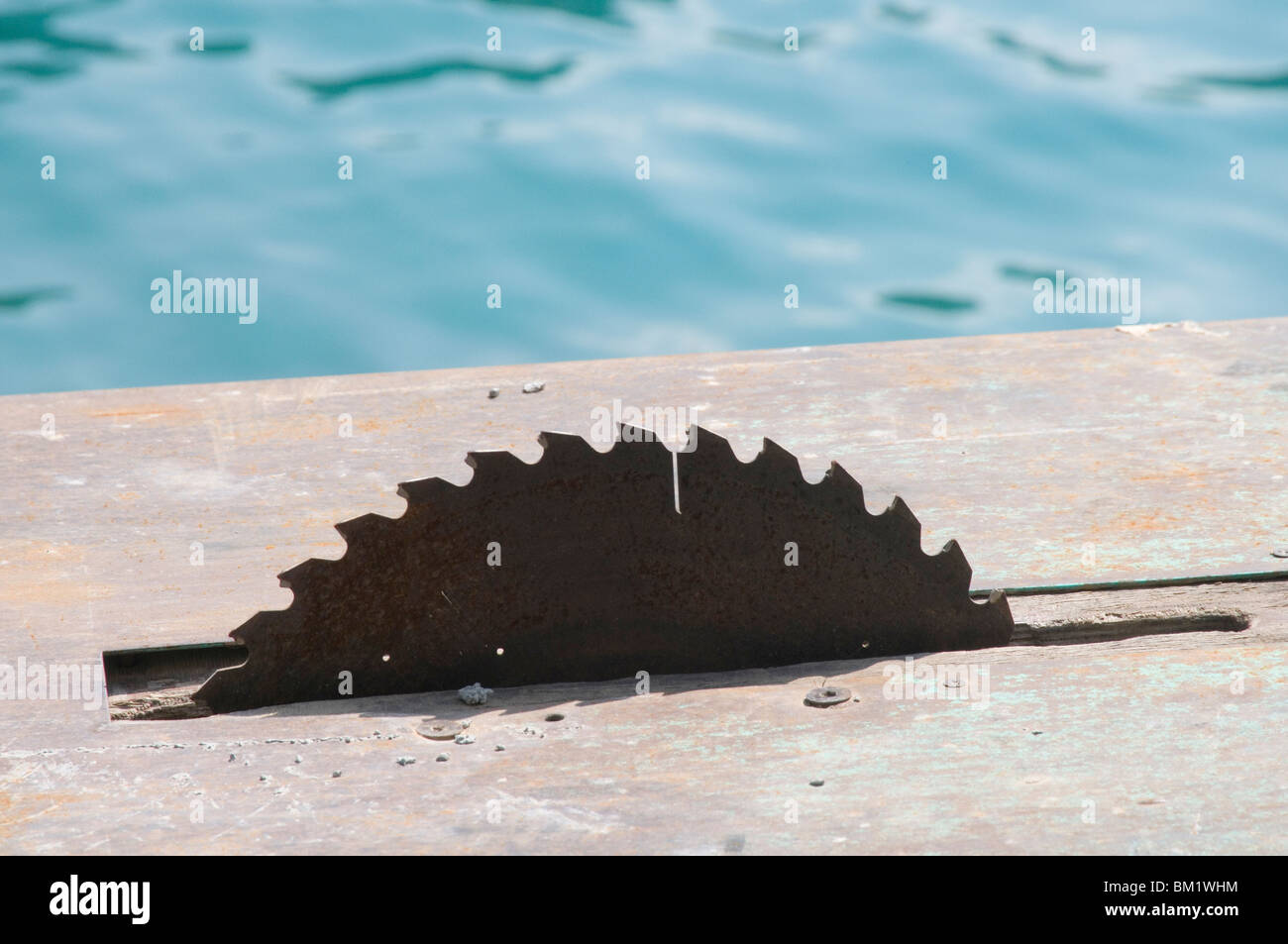 circular saw saws blade blades sawblade sawblades cutting table wood cut cutter cutting yacht