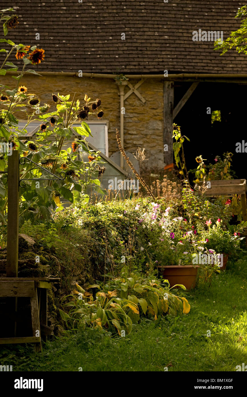 English country flower garden Stock Photo Alamy