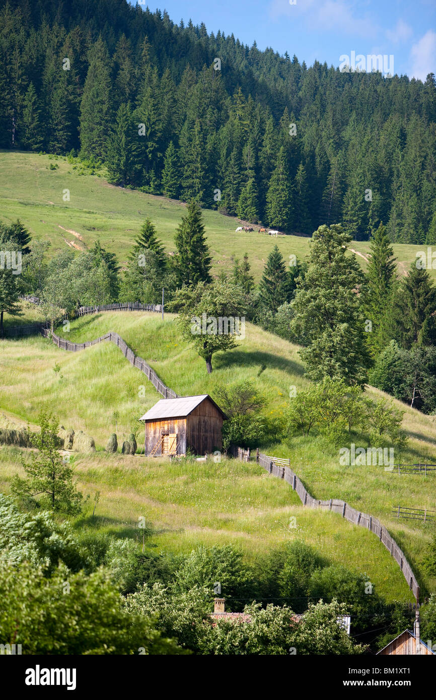 Countryside near Suceava, Bucovina, Romania, Europe Stock Photo