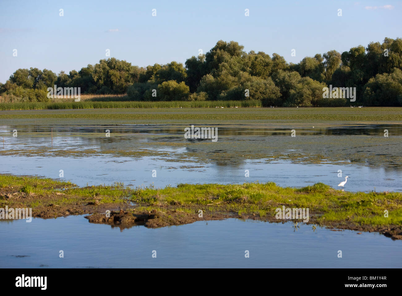 Danube River delta, Romania, Europe Stock Photo