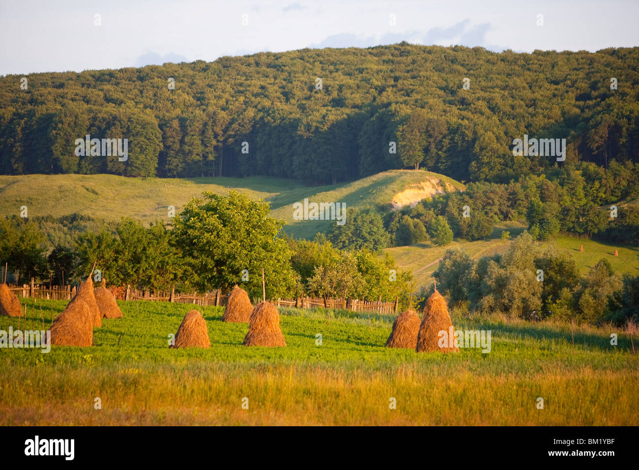 Countryside near Guru Humorului, Bucovina, Romania, Europe Stock Photo