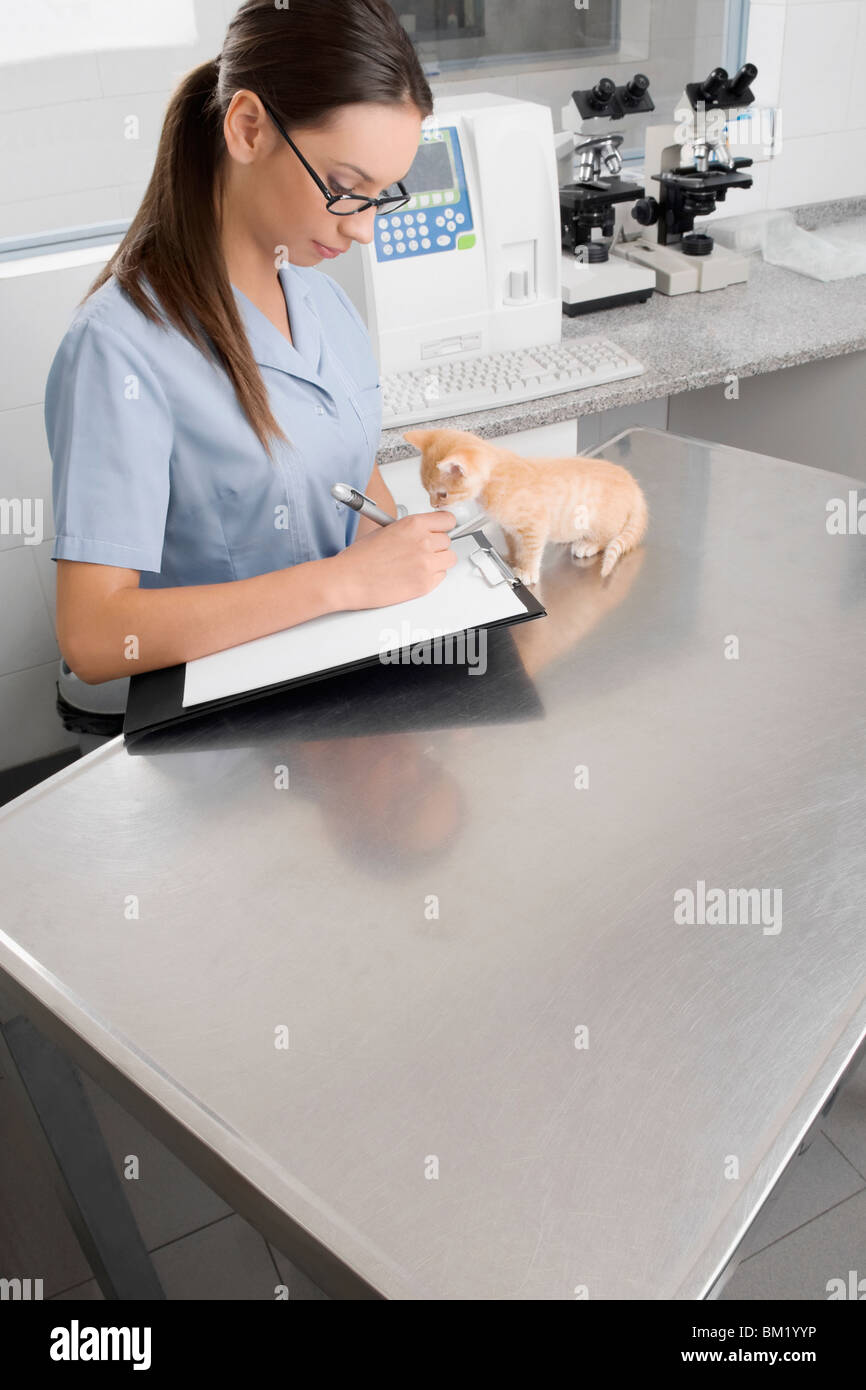 Female vet writing a prescription Stock Photo Alamy