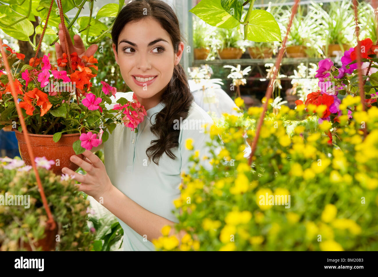 Woman holding a hanging basket in a greenhouse Stock Photo - Alamy