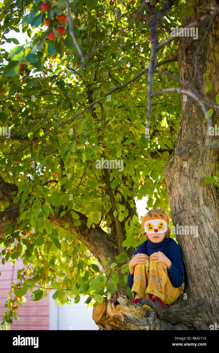 Boy wearing clown mask and sitting on a tree, Bozeman, Gallatin County, Montana, USA Stock Photo