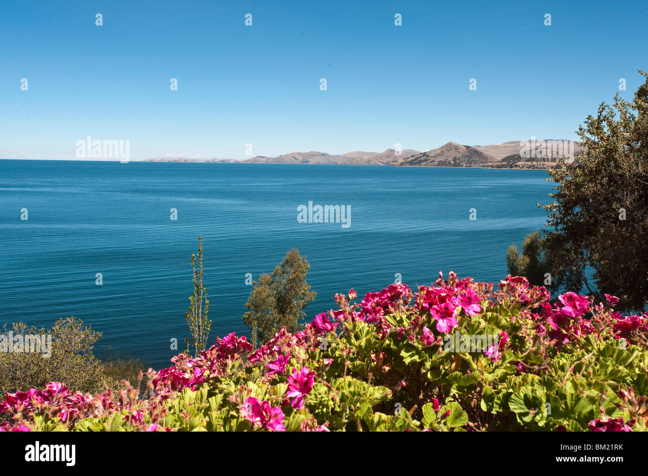 Suasi Island, Lake Titicaca, Peru, South America Stock Photo