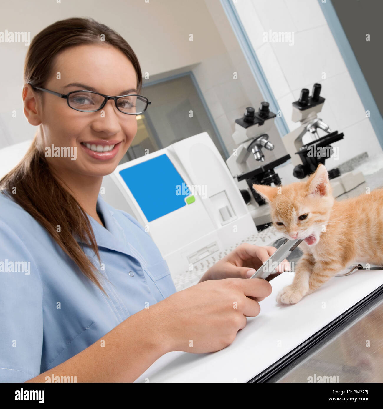 Female vet writing a prescription Stock Photo Alamy