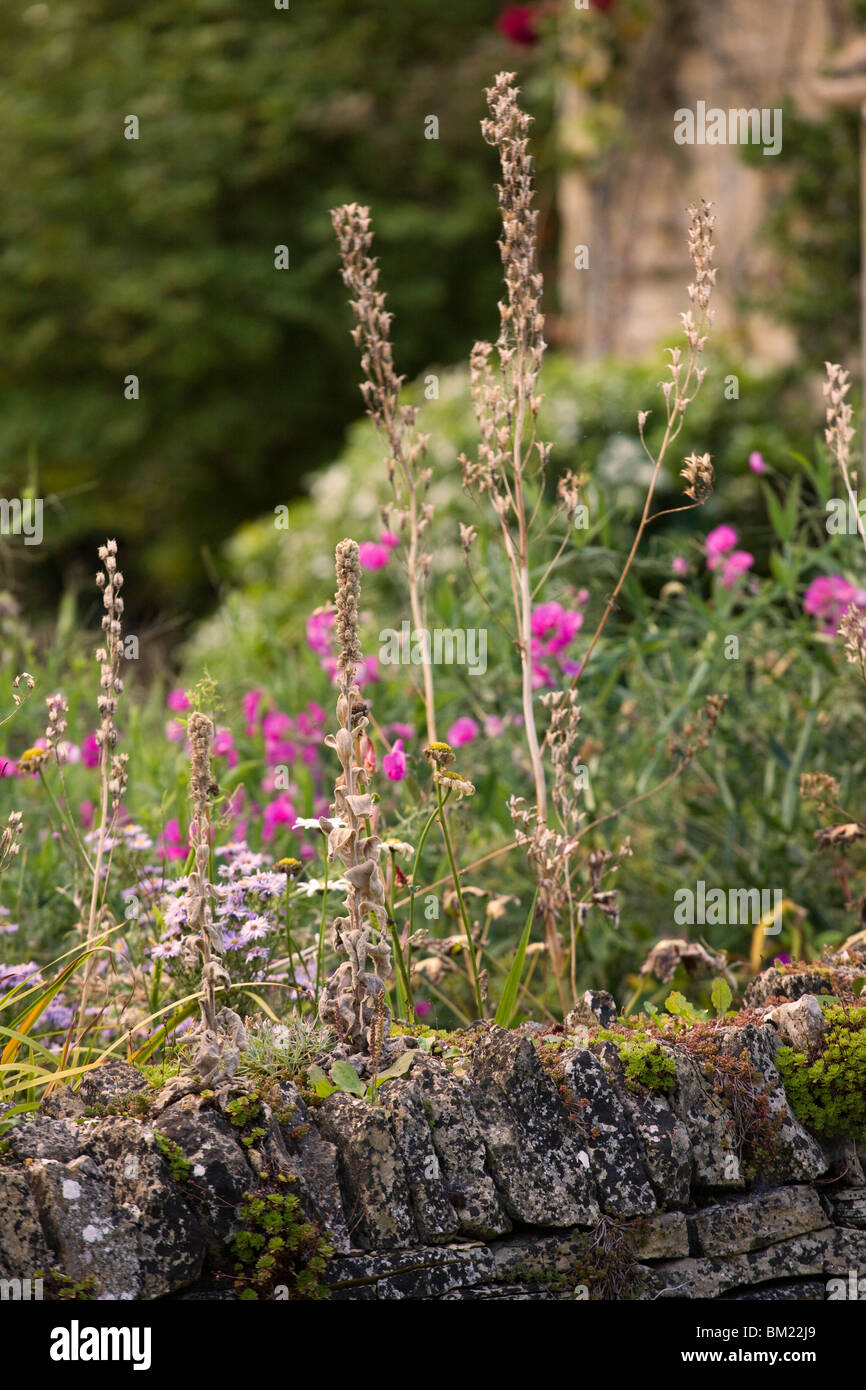 English country flower garden Stock Photo - Alamy