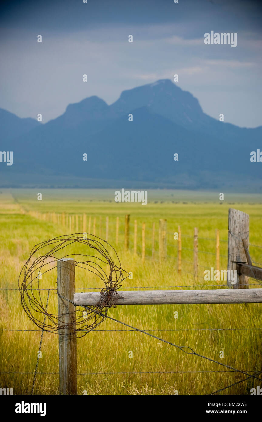 Barbed Wire Fence Wooden Post Barbed Wire Stock Photos & Barbed Wire ...