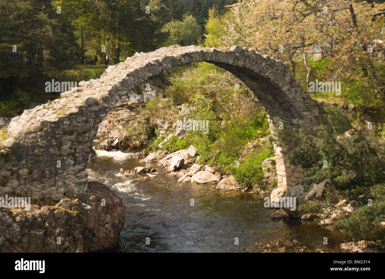 The Bridge of Carr, built in 1717, Carrbridge, Inverness-shire, Highlands, Scotland, United Kingdom, Europe Stock Photo
