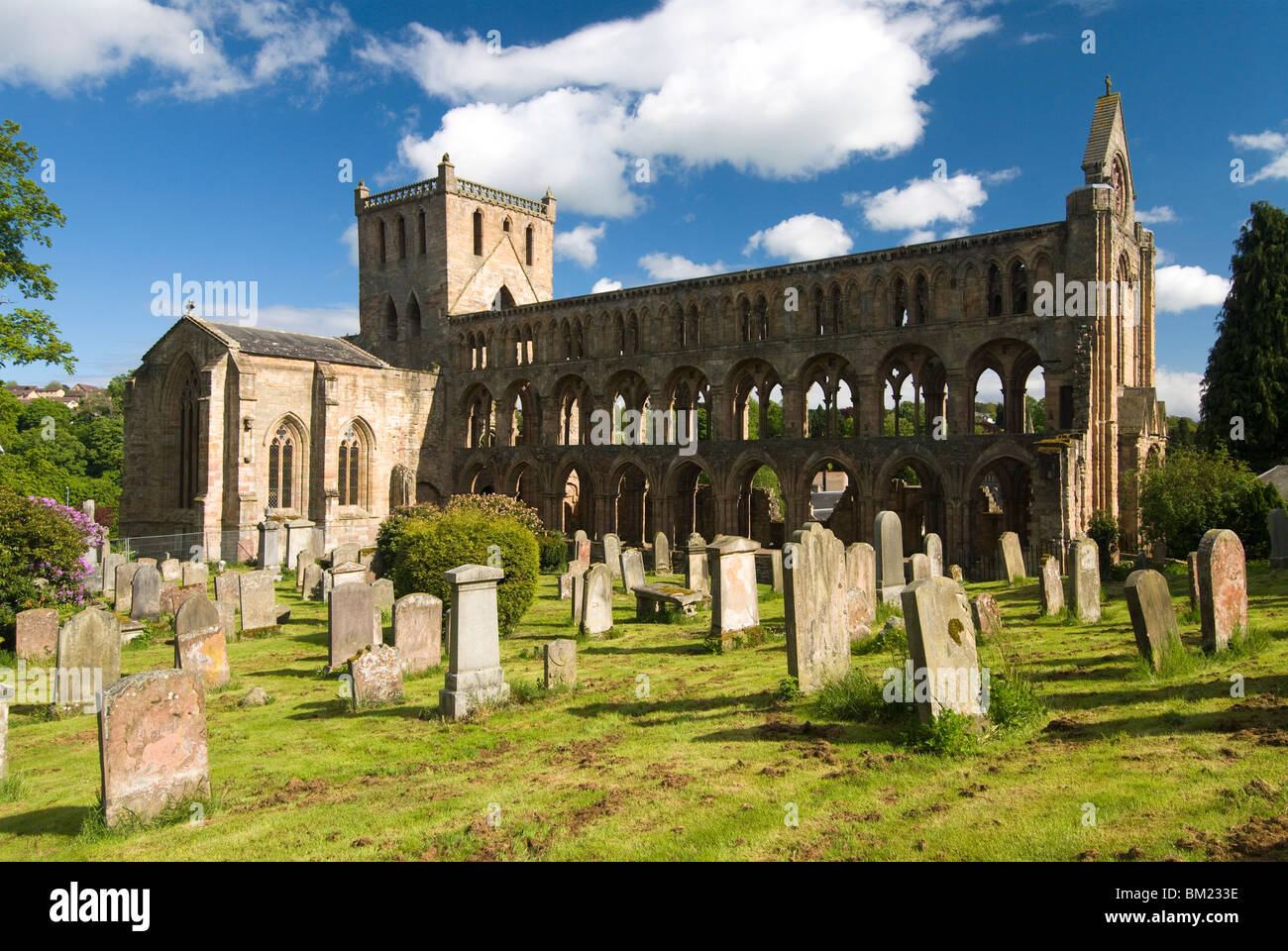 Jedburgh Abbey, Jedburgh, Scotland, United Kingdom, Europe Stock Photo