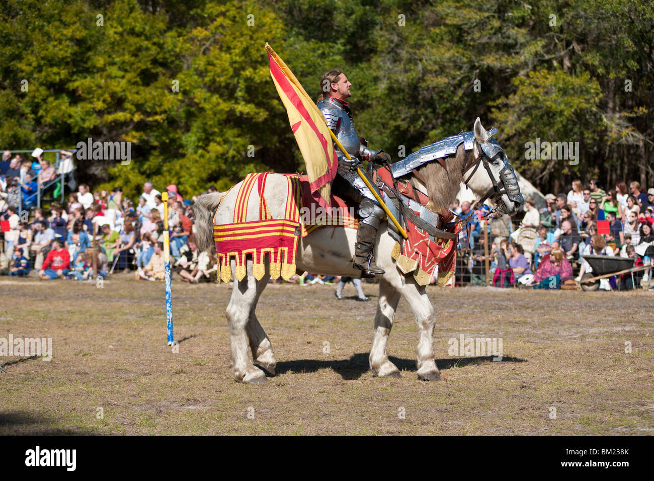 Gainesville FL Jan 2009 Man dressed as knight holds flag while