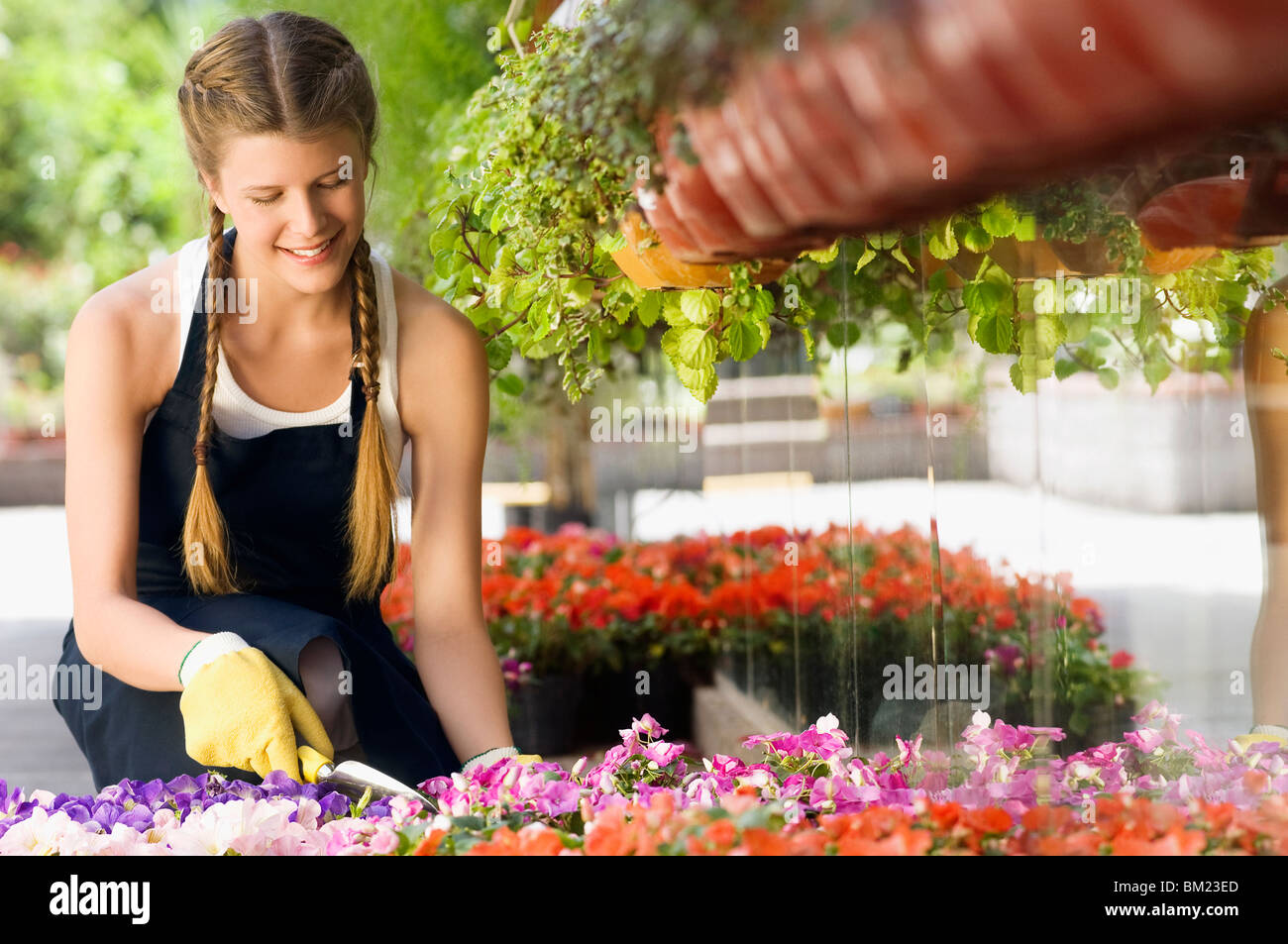 Woman working in a greenhouse and smiling Stock Photo - Alamy