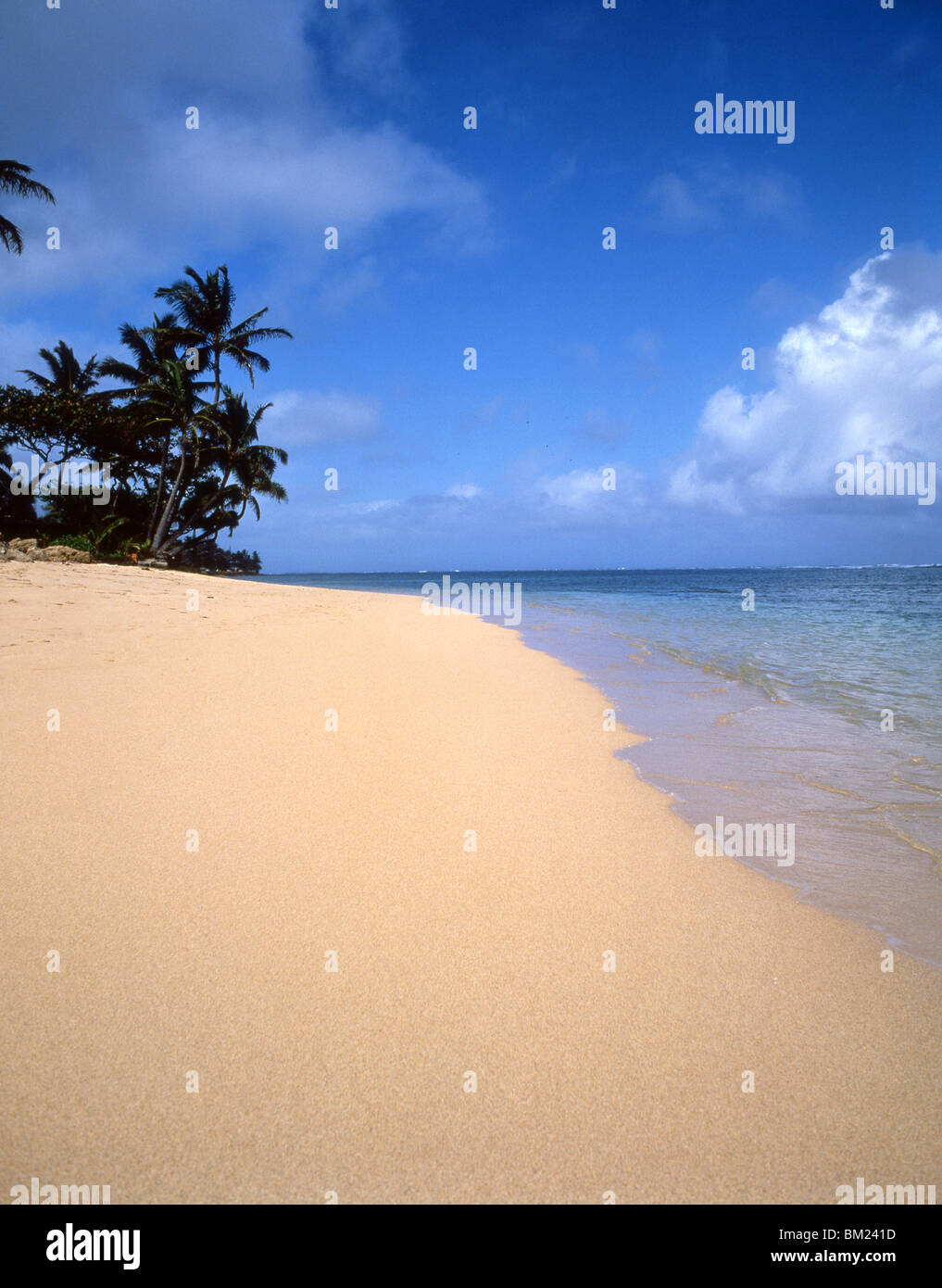 Deserted beach, North Shore, Oahu, Hawaii, United States of America Stock Photo