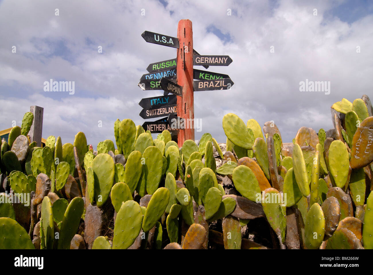 A signpost standing among cactuses, Barbados, West Indies, Caribbean, Central America Stock Photo