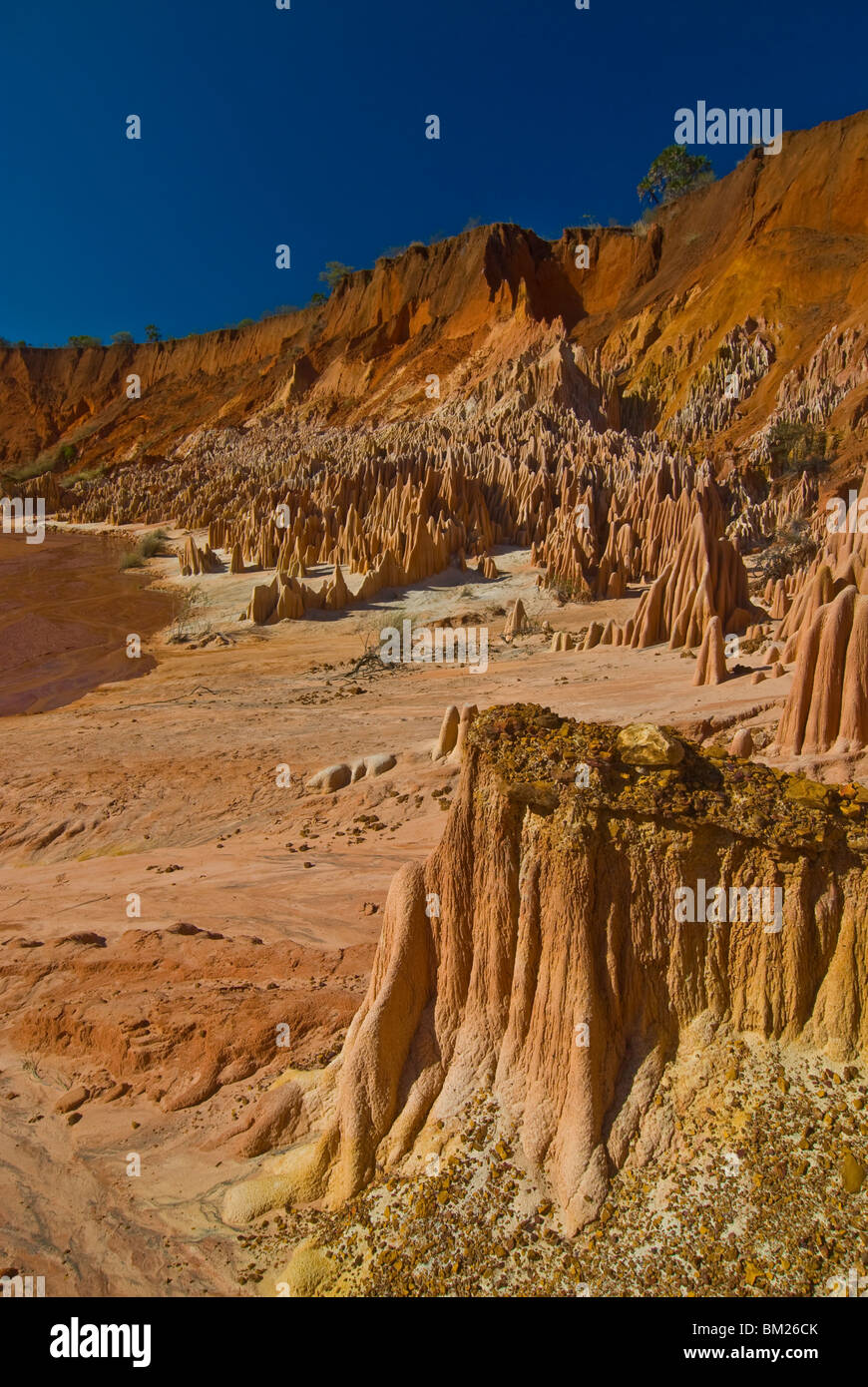 Extraordinary rock formations, Red Tsingys, Madagascar, Africa Stock Photo