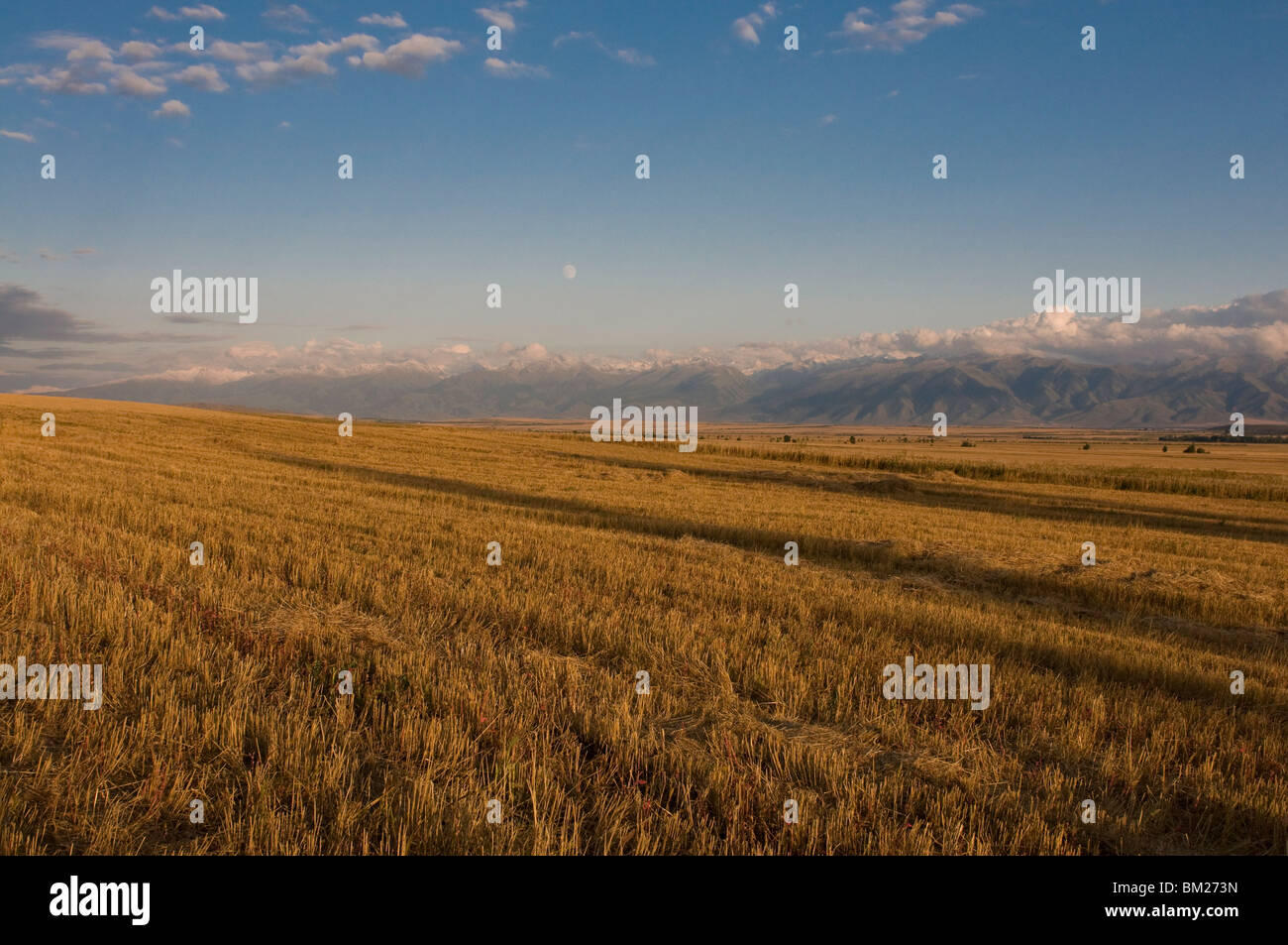 Central Tian Shan Mountain Range, Karkakol, Kyrgyzstan, Central Asia Stock Photo