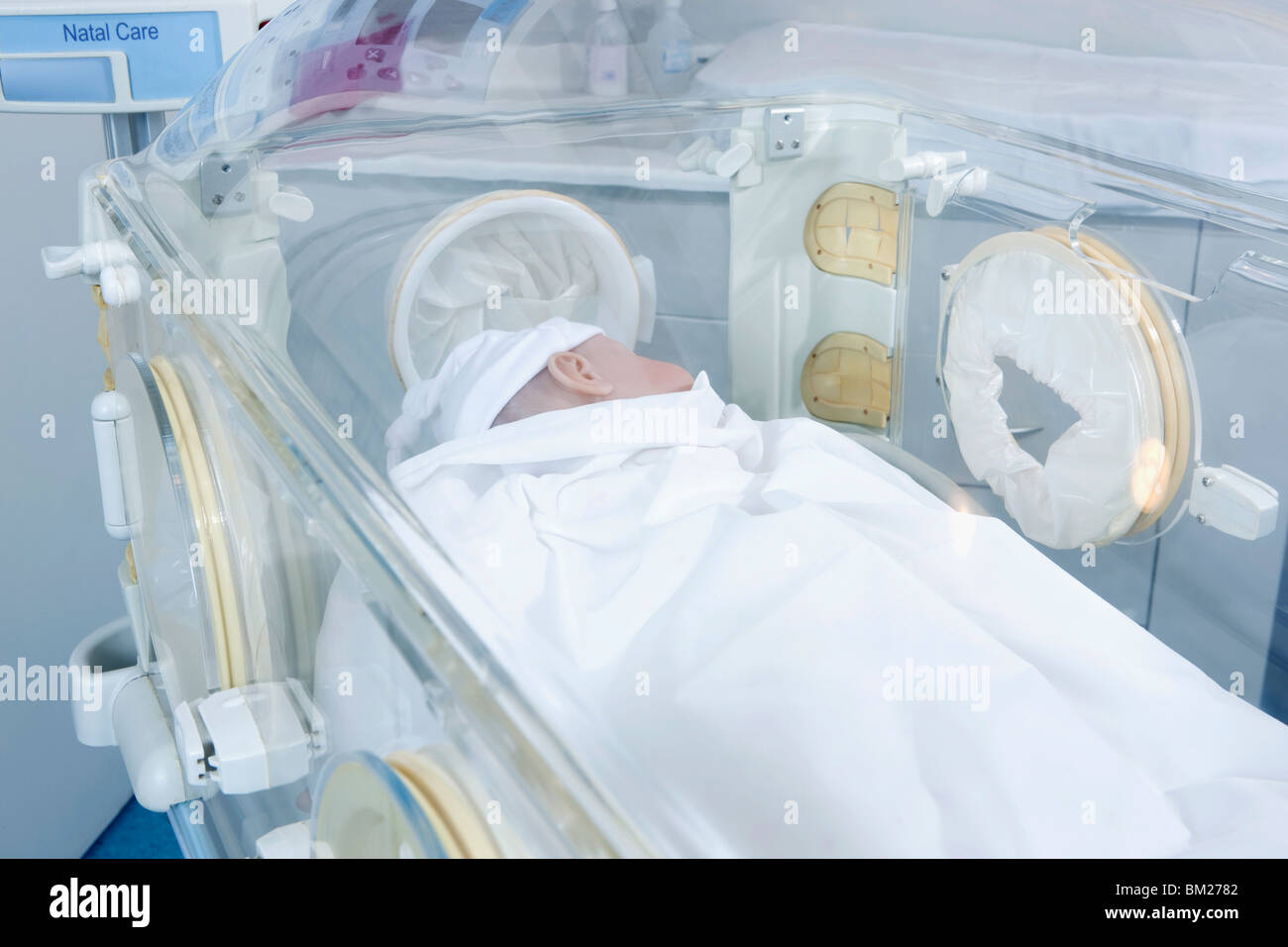Newborn baby in an incubator Stock Photo Alamy