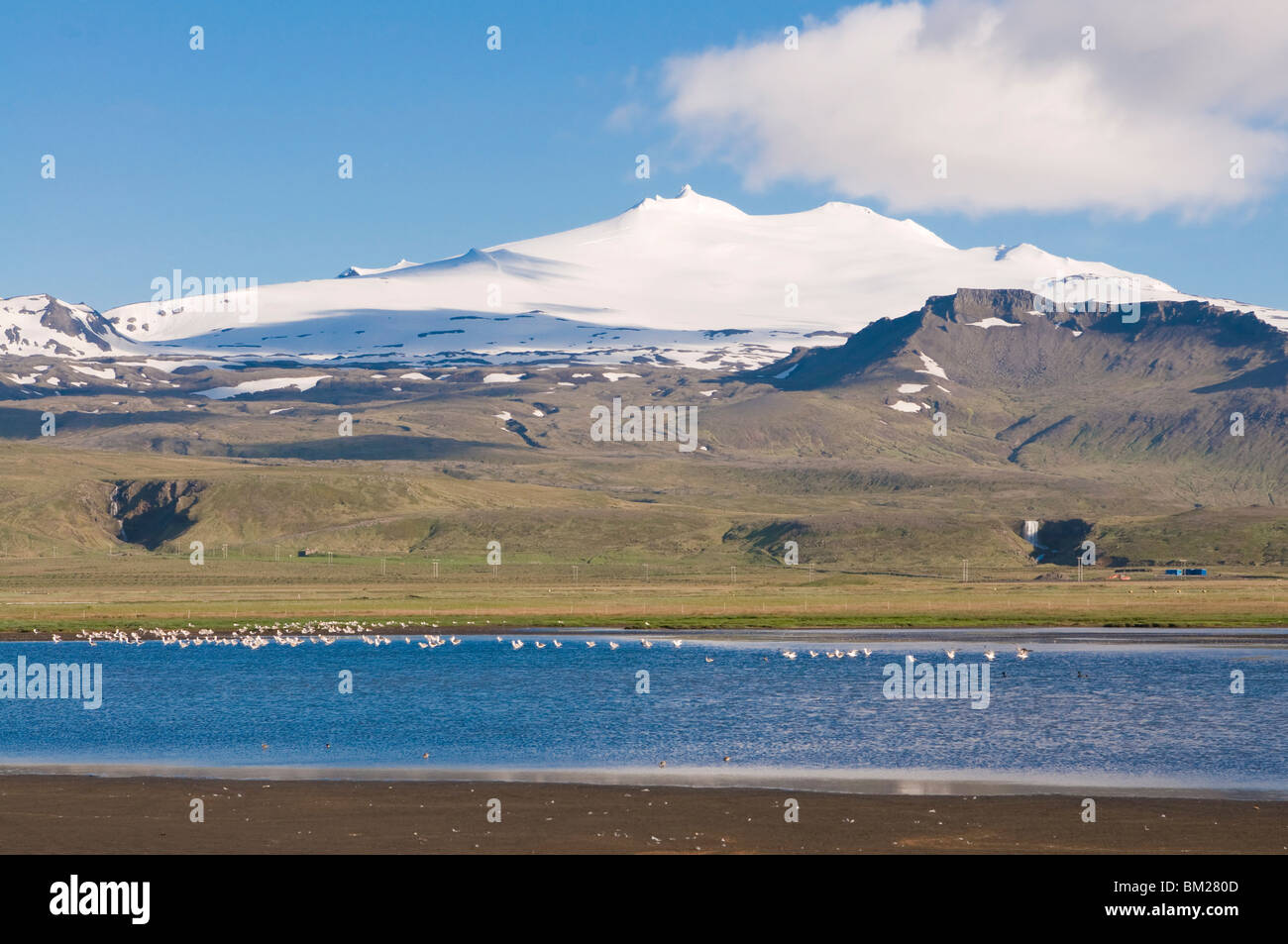 Mountain landscape with body of water and flock of birds, Snaefellsjokull National Park, Iceland, Polar Regions Stock Photo