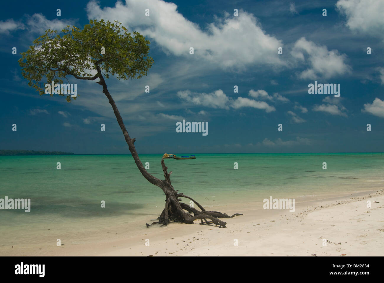 Silver sand beach with turquoise sea, Havelock Island, Andaman Islands, India, Indian Ocean, Asia Stock Photo