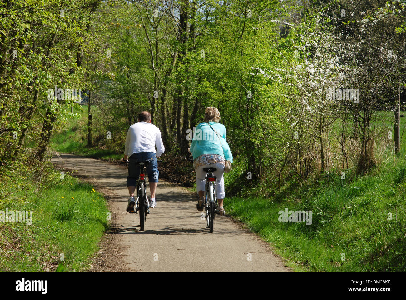 cycling along country lanes in Haspengouw Belgium Stock Photo Alamy
