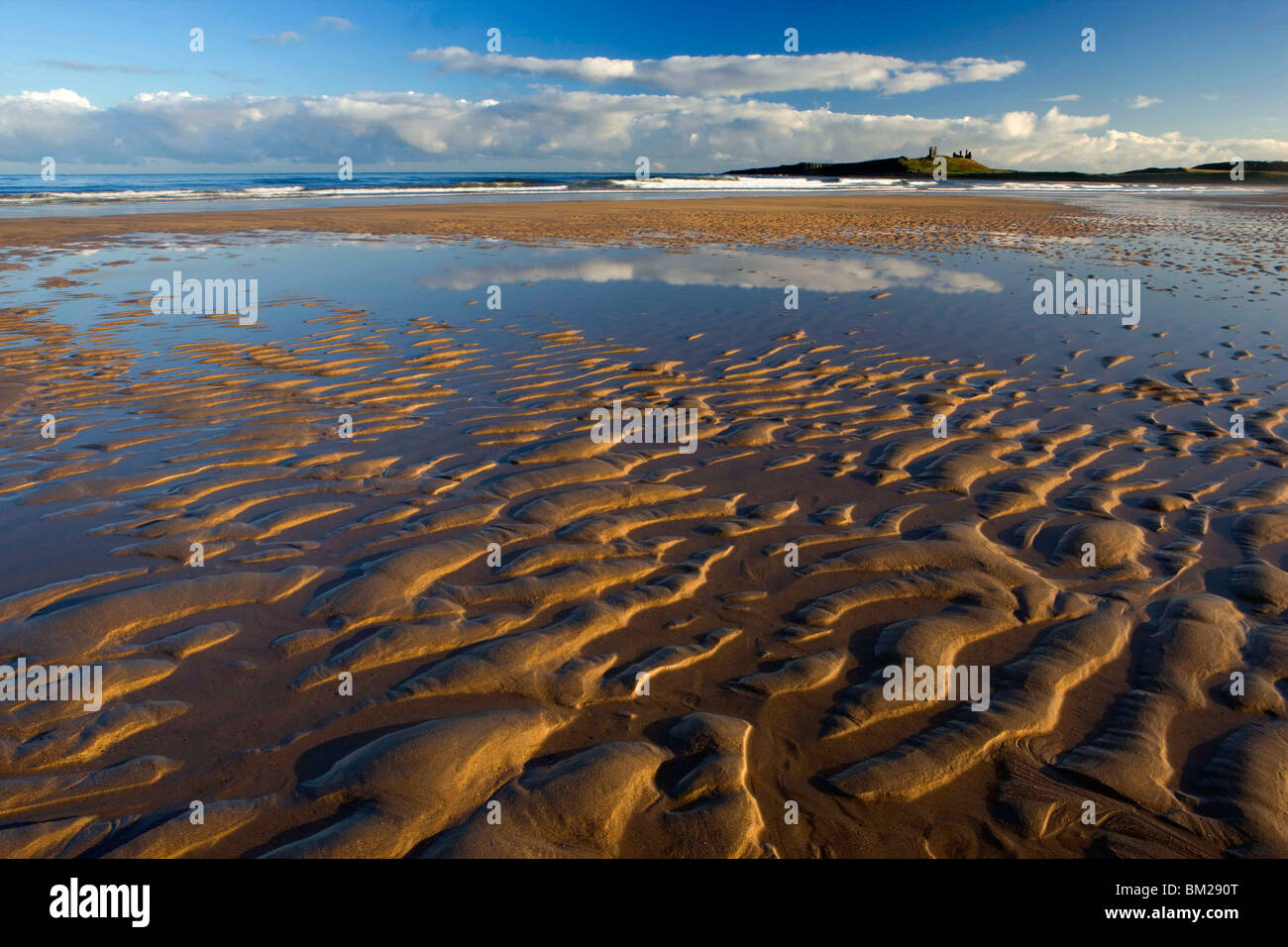 View across Embleton Bay at low tide towards the ruins of Dunstanburgh Castle, near Alnwick, Northumberland, UK Stock Photo