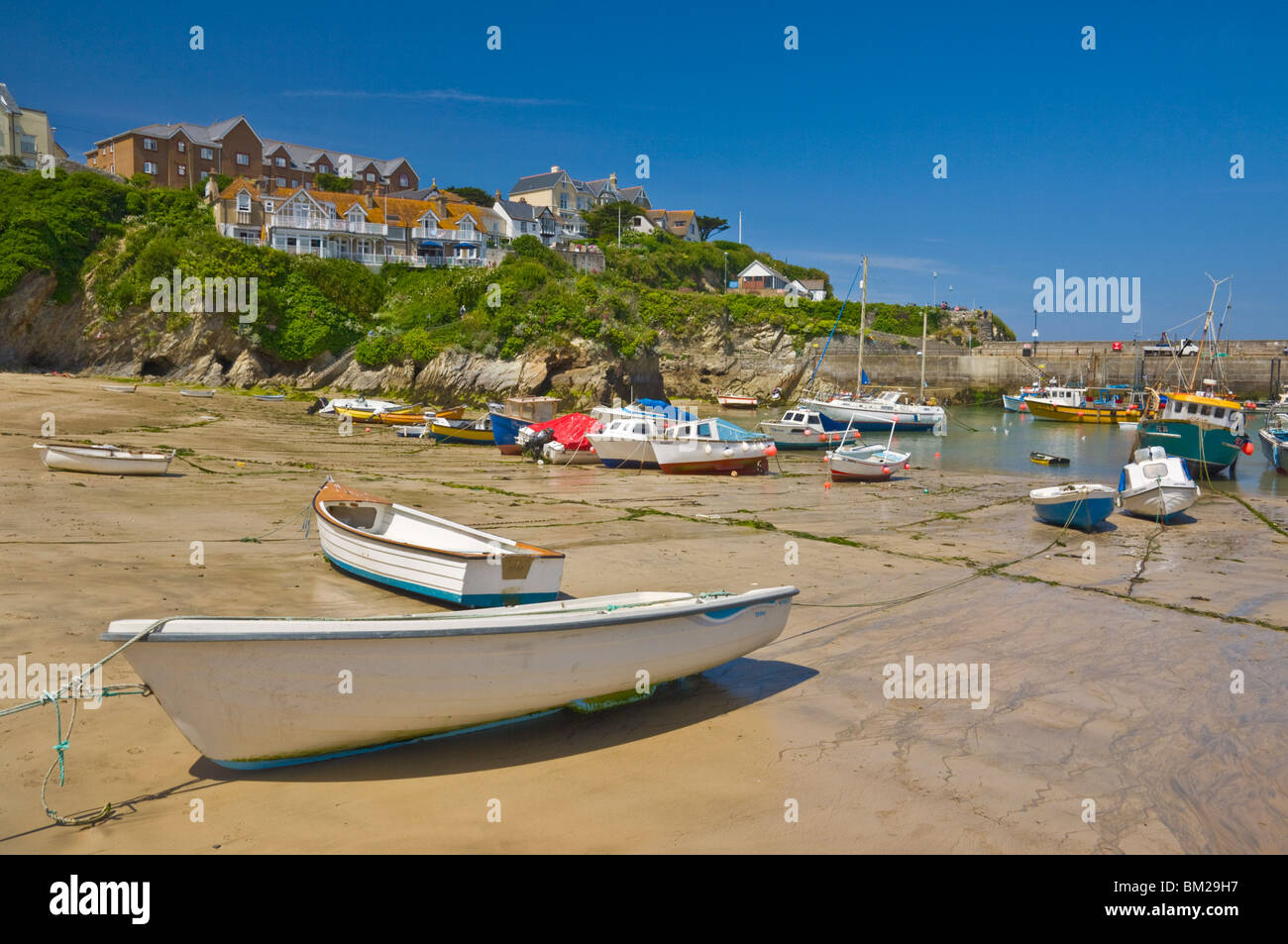Small fishing boats and yachts at low tide, Newquay harbour, Newquay