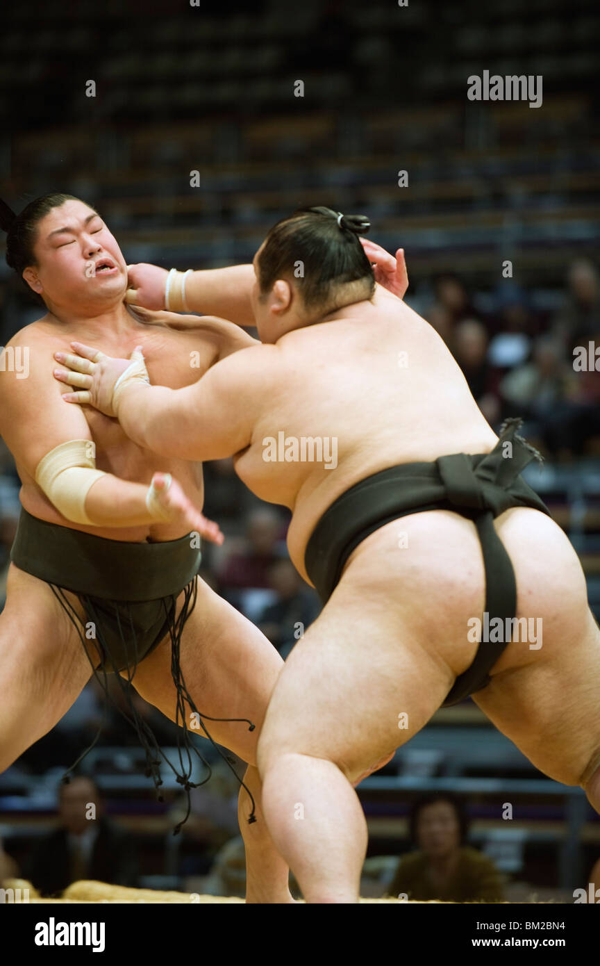 Fukuoka Sumo competition, Kyushu Basho, Fukuoka city, Kyushu, Japan Stock Photo