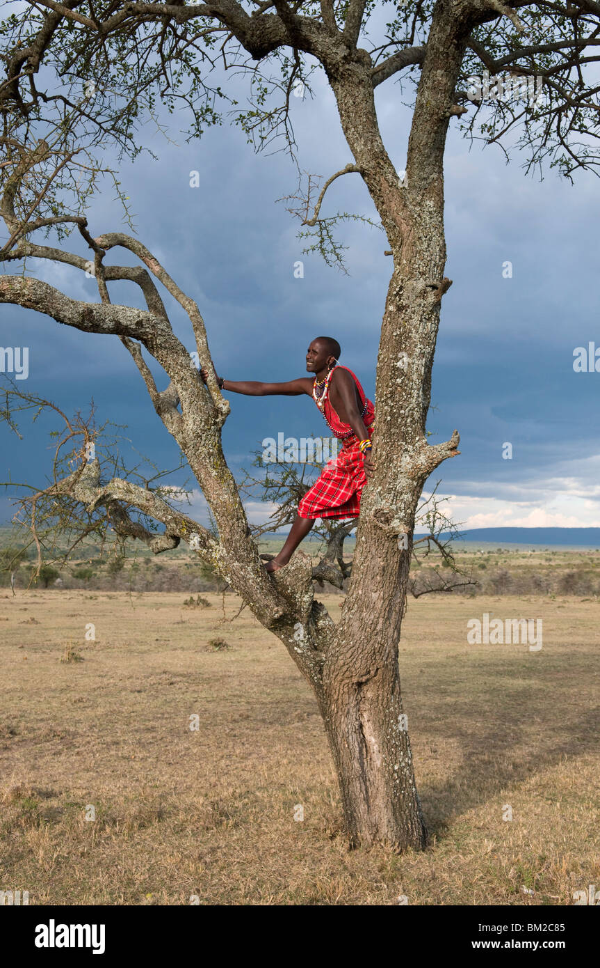 Masai wildlife hi-res stock photography and images - Alamy