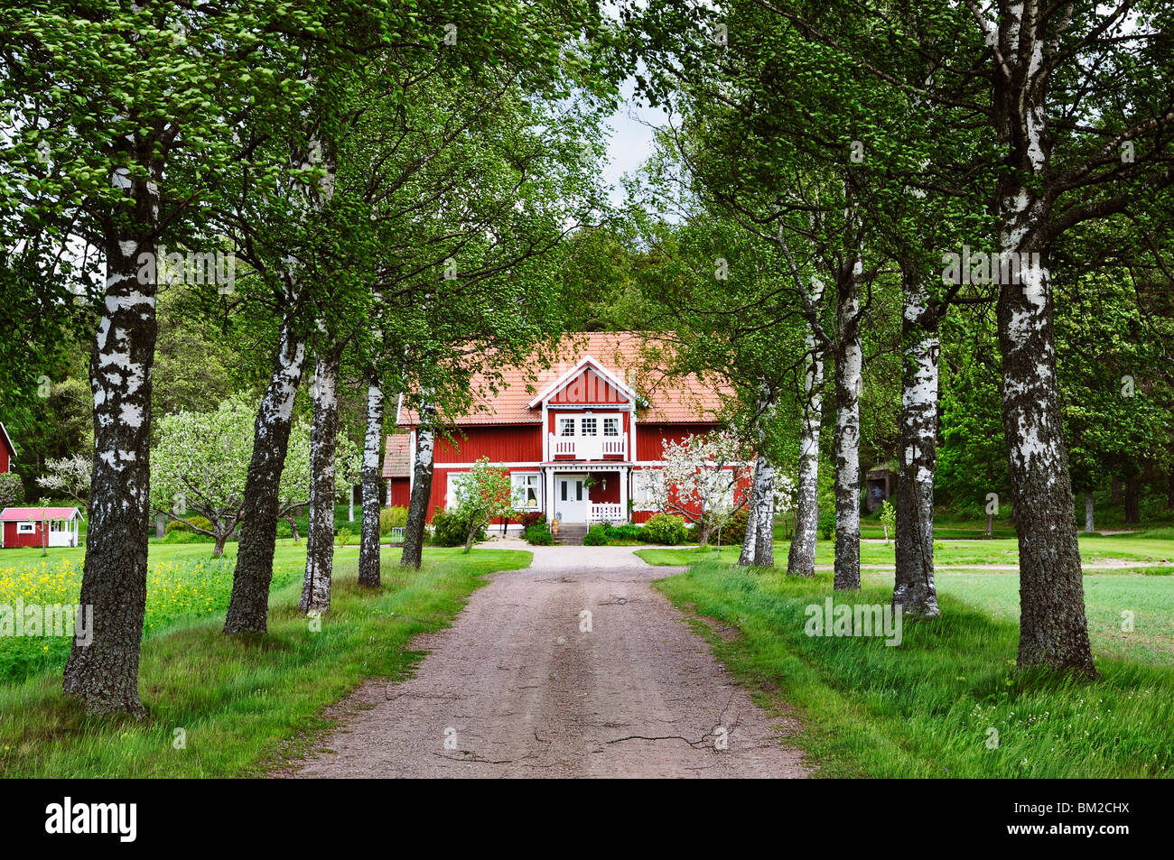 Farmhouse, Varmland, Sweden, Scandinavia Stock Photo Alamy