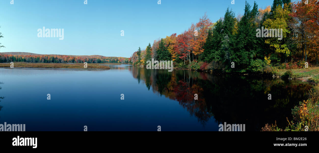 Reflection of trees in water, Bog Pond, Savoy Mountain State Forest, Massachusetts, USA Stock