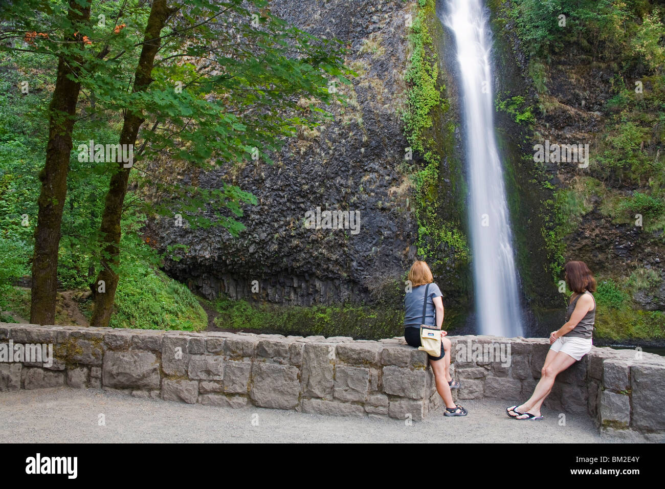 Horsetail Falls in the Columbia River Gorge, Greater Portland Region, Oregon, USA Stock Photo