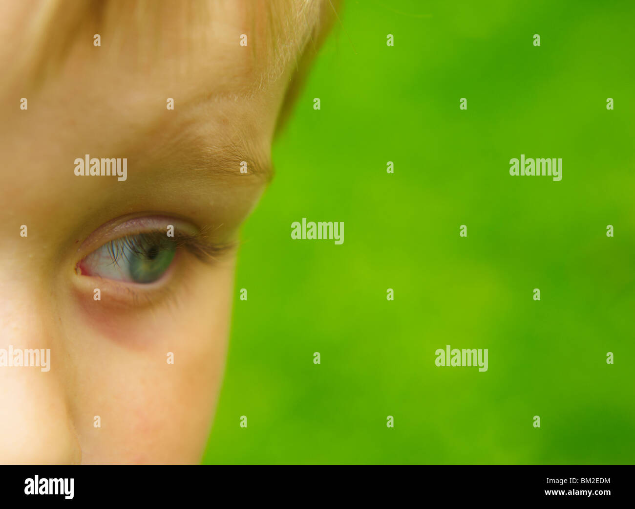Blue eye extreme closeup hi-res stock photography and images - Alamy