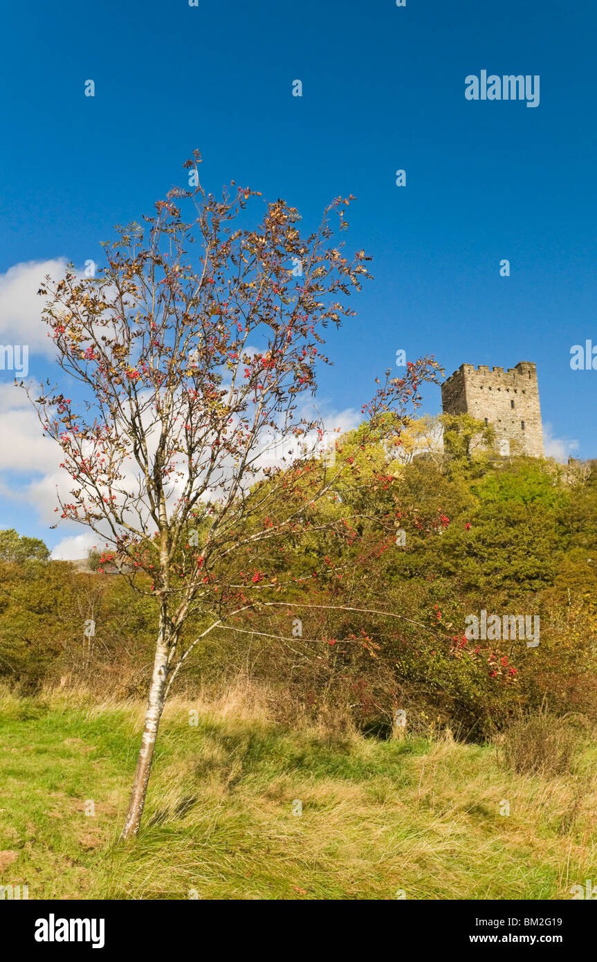 Dolwyddelan Castle, Dolwyddelan, nr Betws y Coed, Snowdonia National Park, Wales, UK Stock Photo