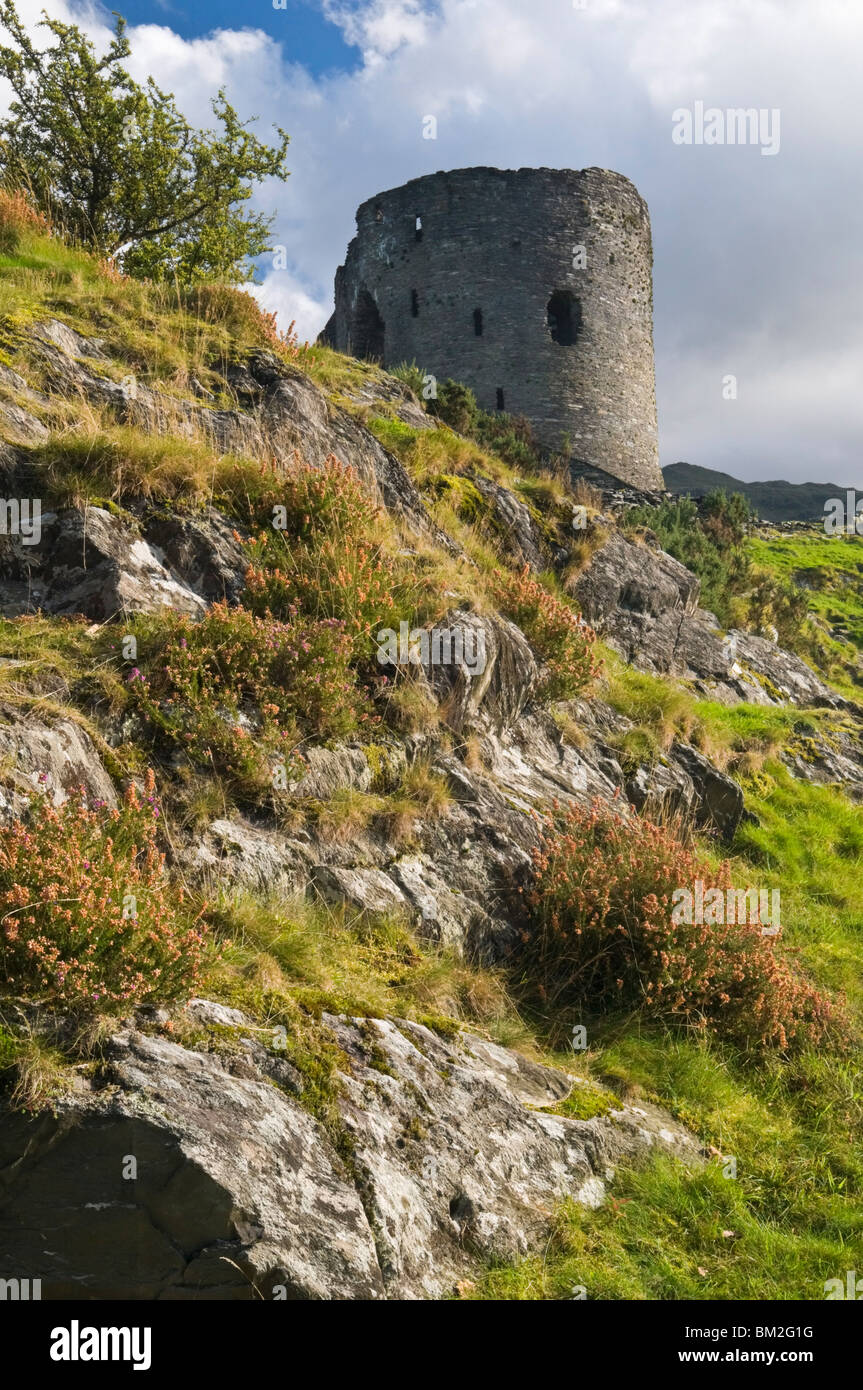 The derelict keep of Dolbadarn Castle on the banks of Llyn Padarn near Llanberis, Snowdonia National Park, Wales, UK Stock Photo