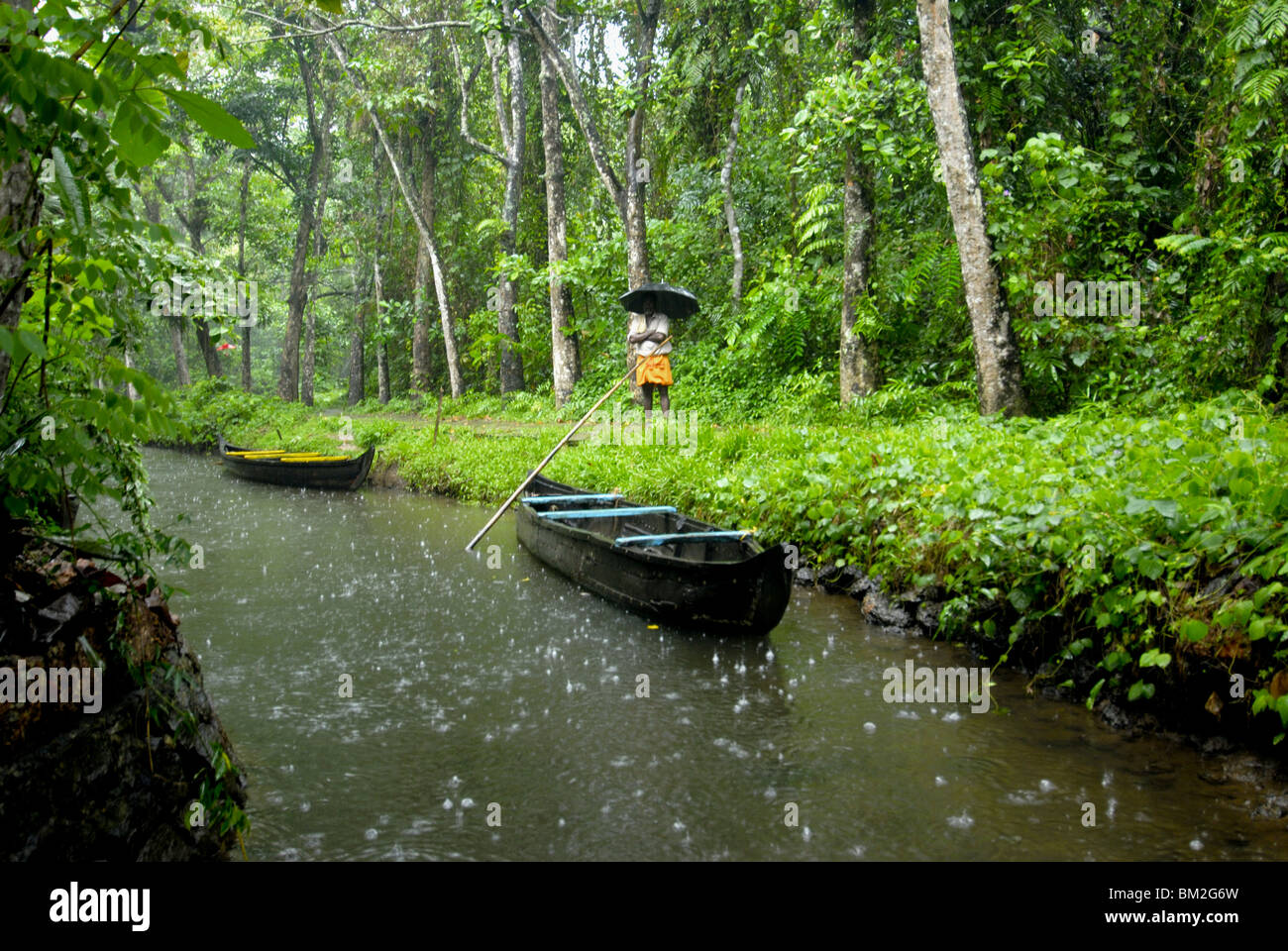 Monsoon rain, Kerala, India Stock Photo - Alamy