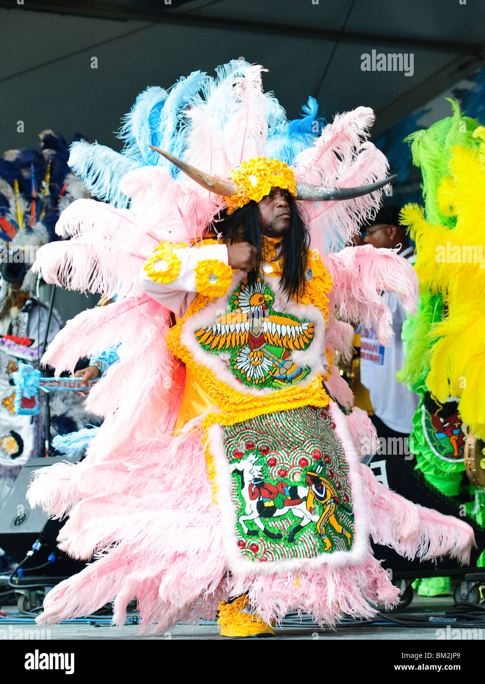 mardi gras indians book