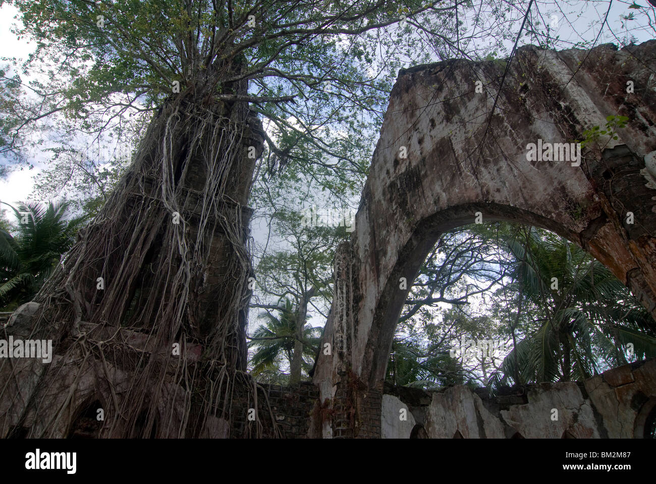 Overgrown destroyed church on Ross Island, formerly known as the Paris of the Indian Ocean, Andaman Islands, India Stock Photo