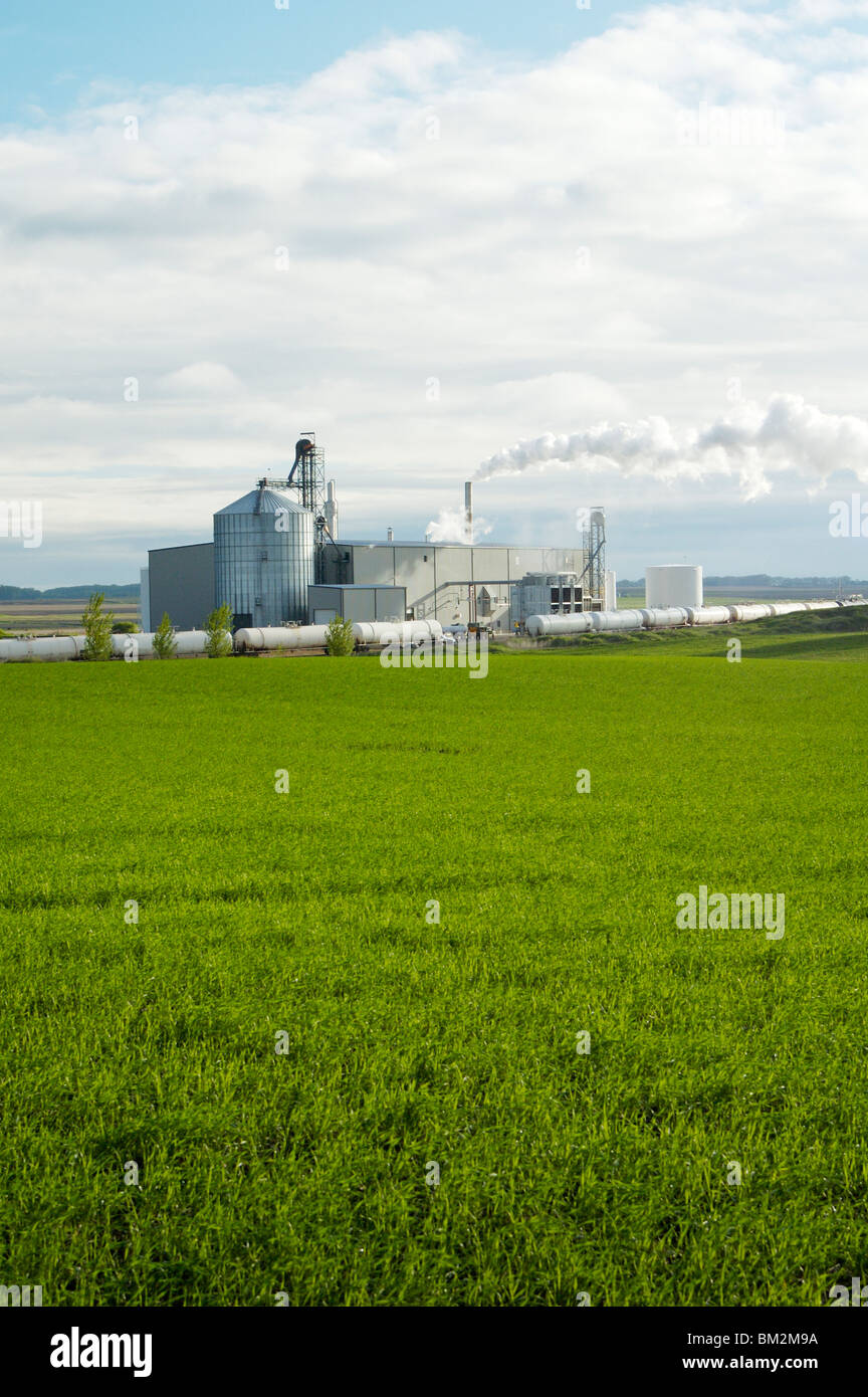 Ethanol production plant utilizing corn as a feed stock located in the