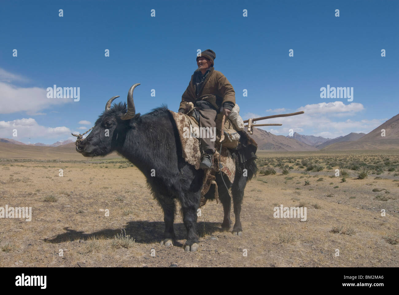 Old man riding on his yak, the Pamirs, Tajikistan Stock Photo